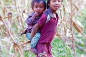 18.11.2009 г. Дети на кукурузном поле. Philim, Gorkha District,